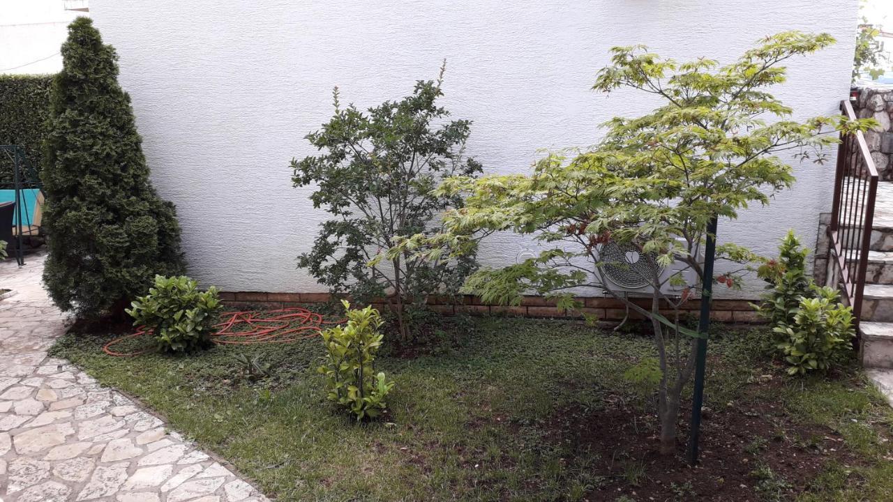 Apartments Svjeta ยาดราโนโว ภายนอก รูปภาพ