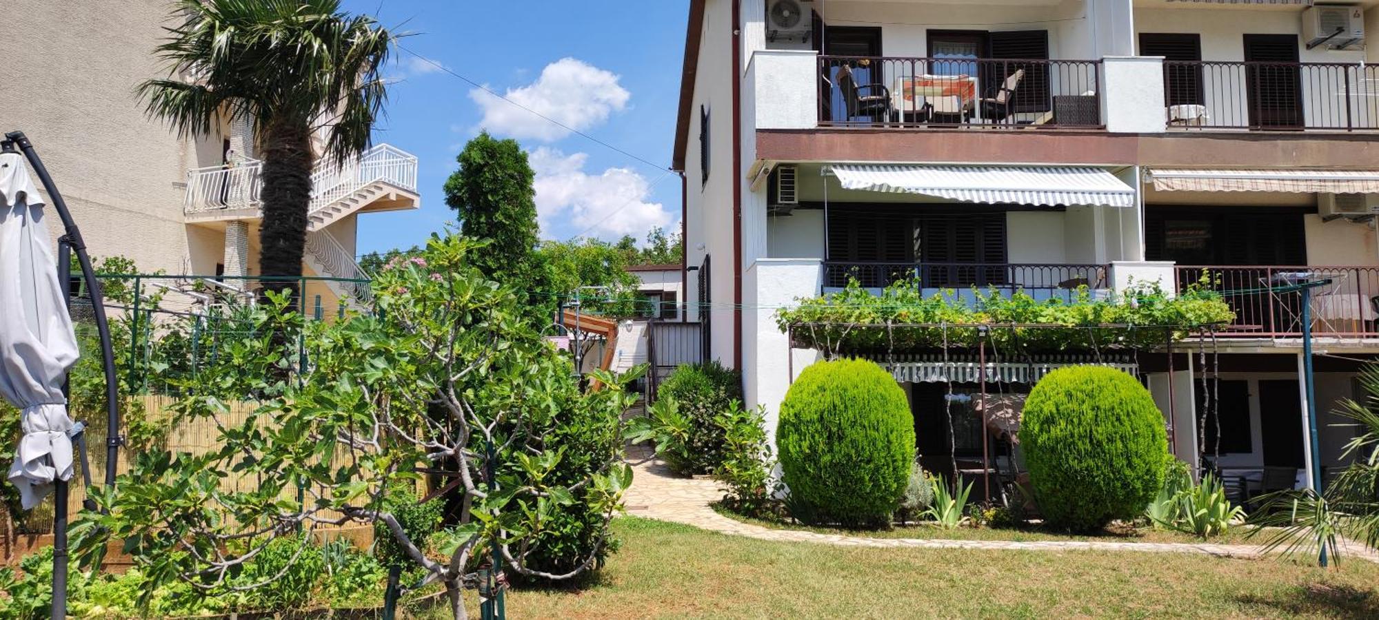Apartments Svjeta ยาดราโนโว ภายนอก รูปภาพ