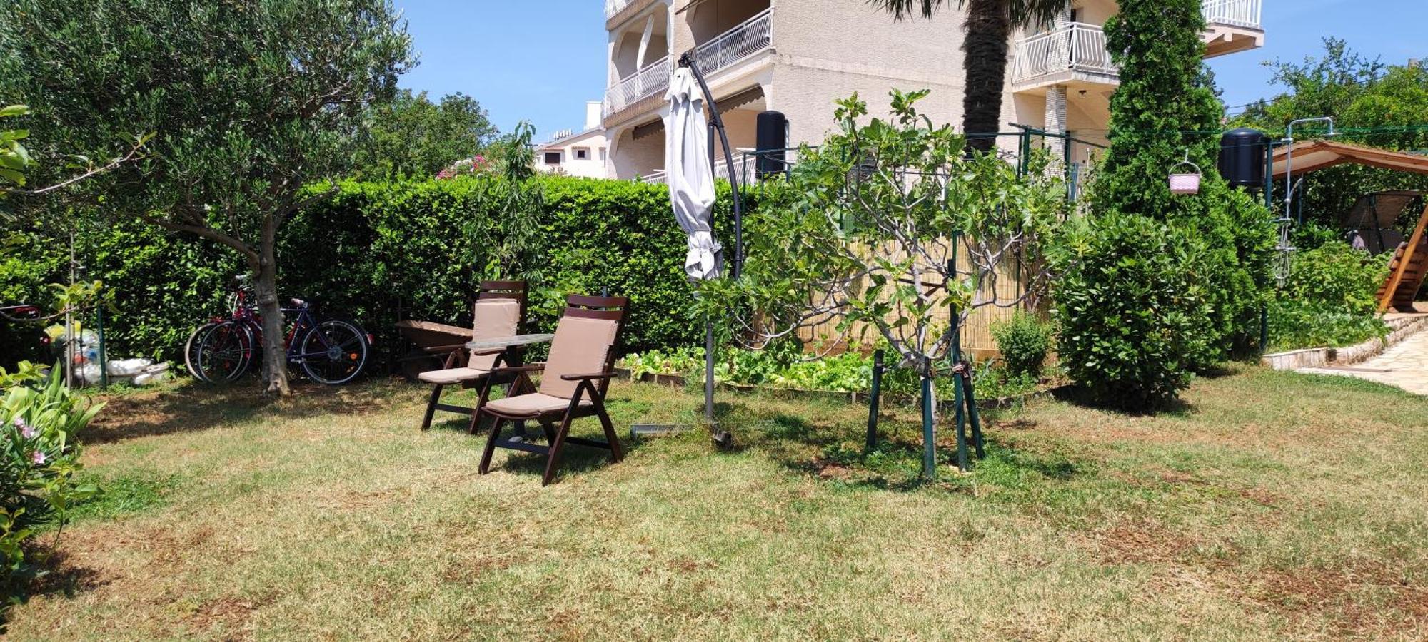 Apartments Svjeta ยาดราโนโว ภายนอก รูปภาพ