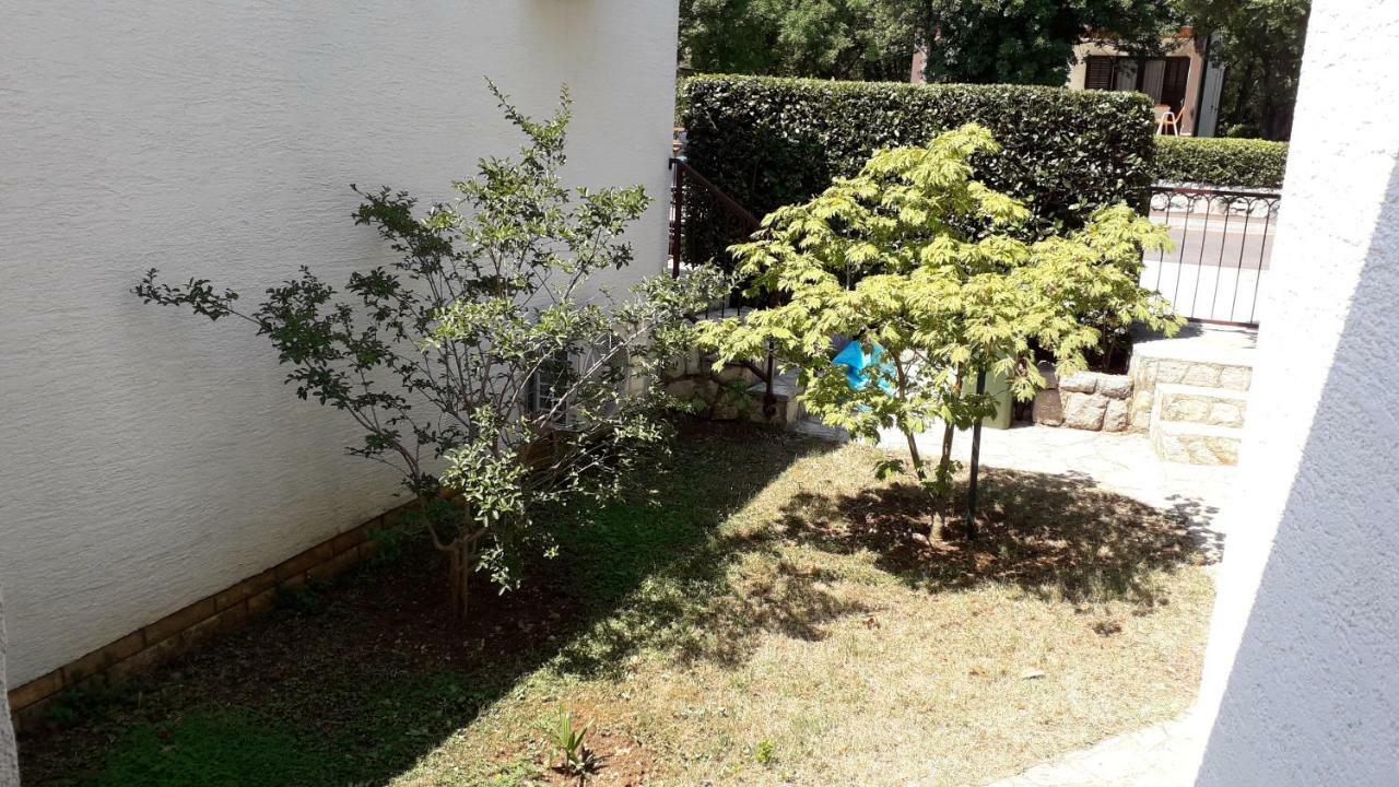 Apartments Svjeta ยาดราโนโว ภายนอก รูปภาพ